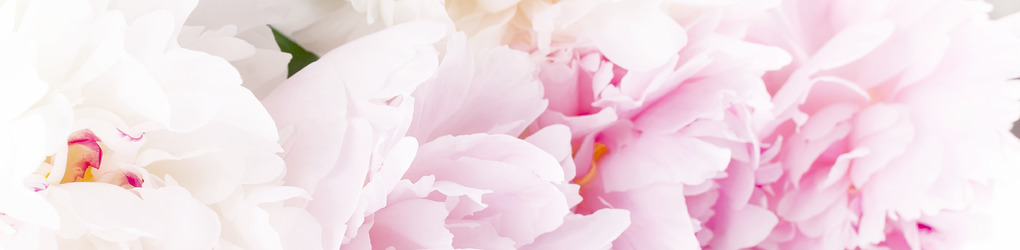 CreativeMarket banner for @vimart